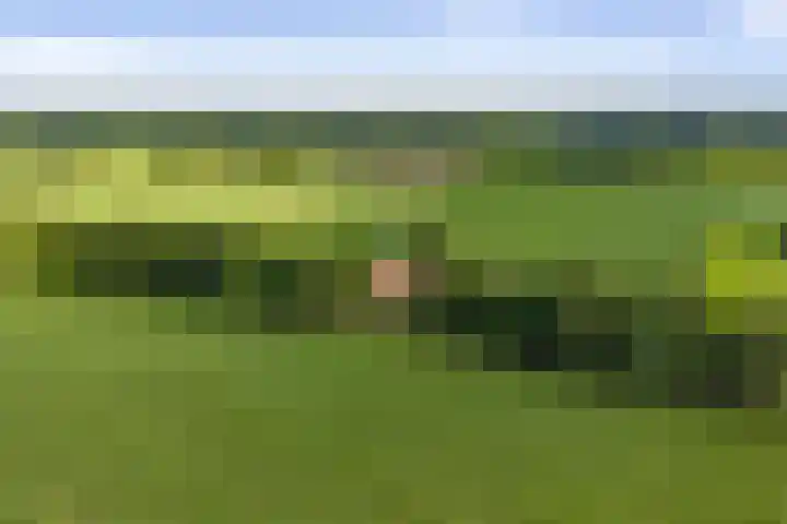 Warfveendijk 18 Laren thumbnail 46