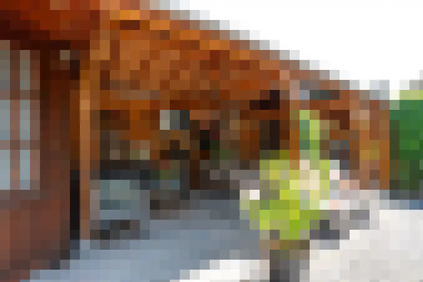 Warinenpoort 60 Houten thumbnail 25