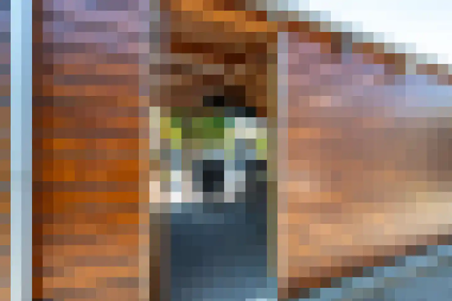 Warinenpoort 60 Houten thumbnail 31