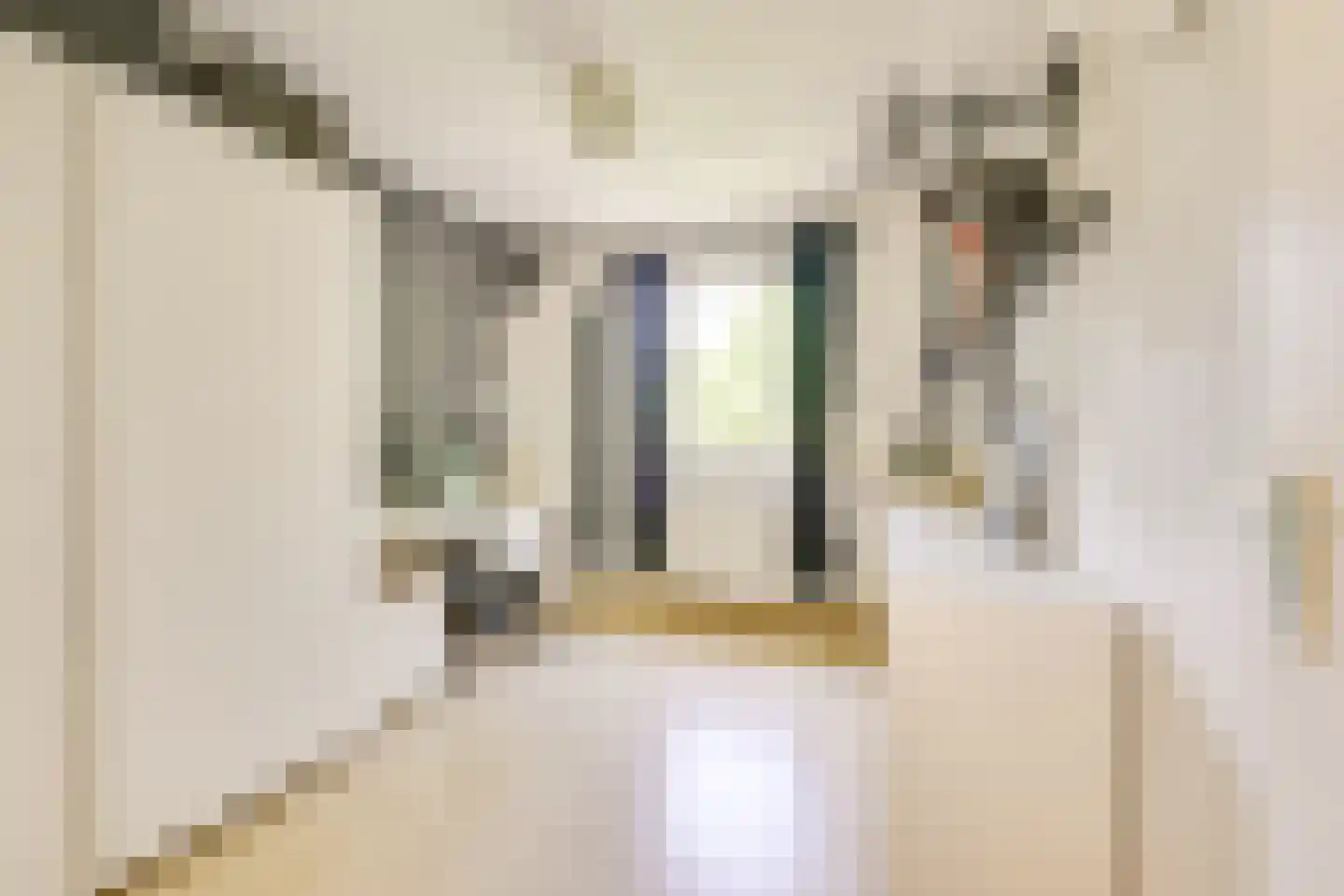 Warinenpoort 60 Houten thumbnail 35