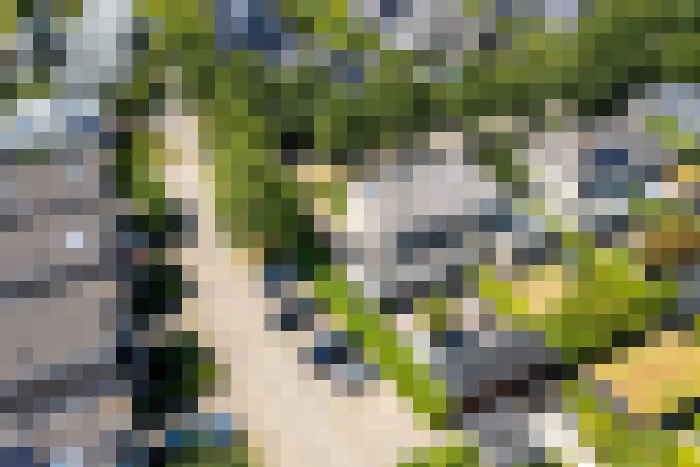 Warinenpoort 60 Houten thumbnail 57