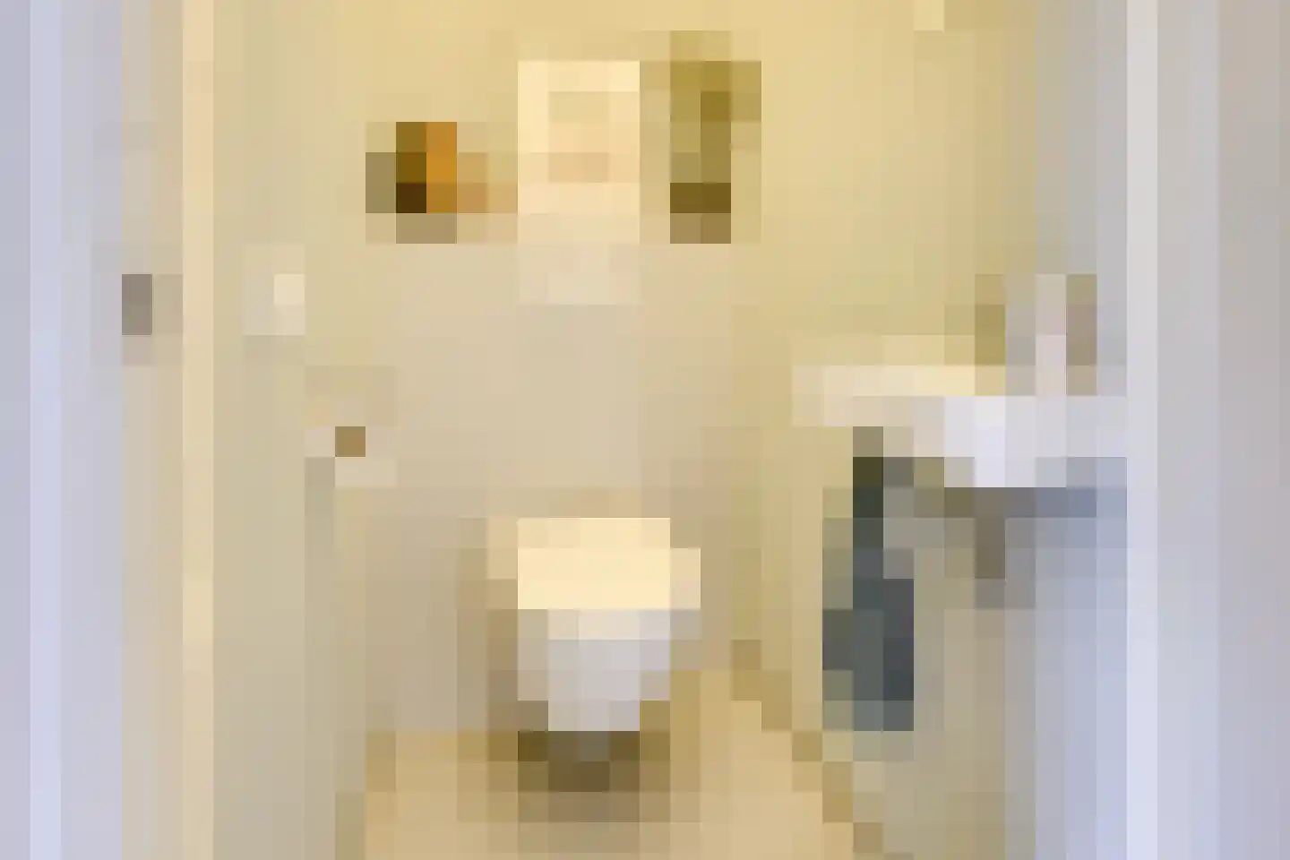 Warinenpoort 60 Houten thumbnail 6