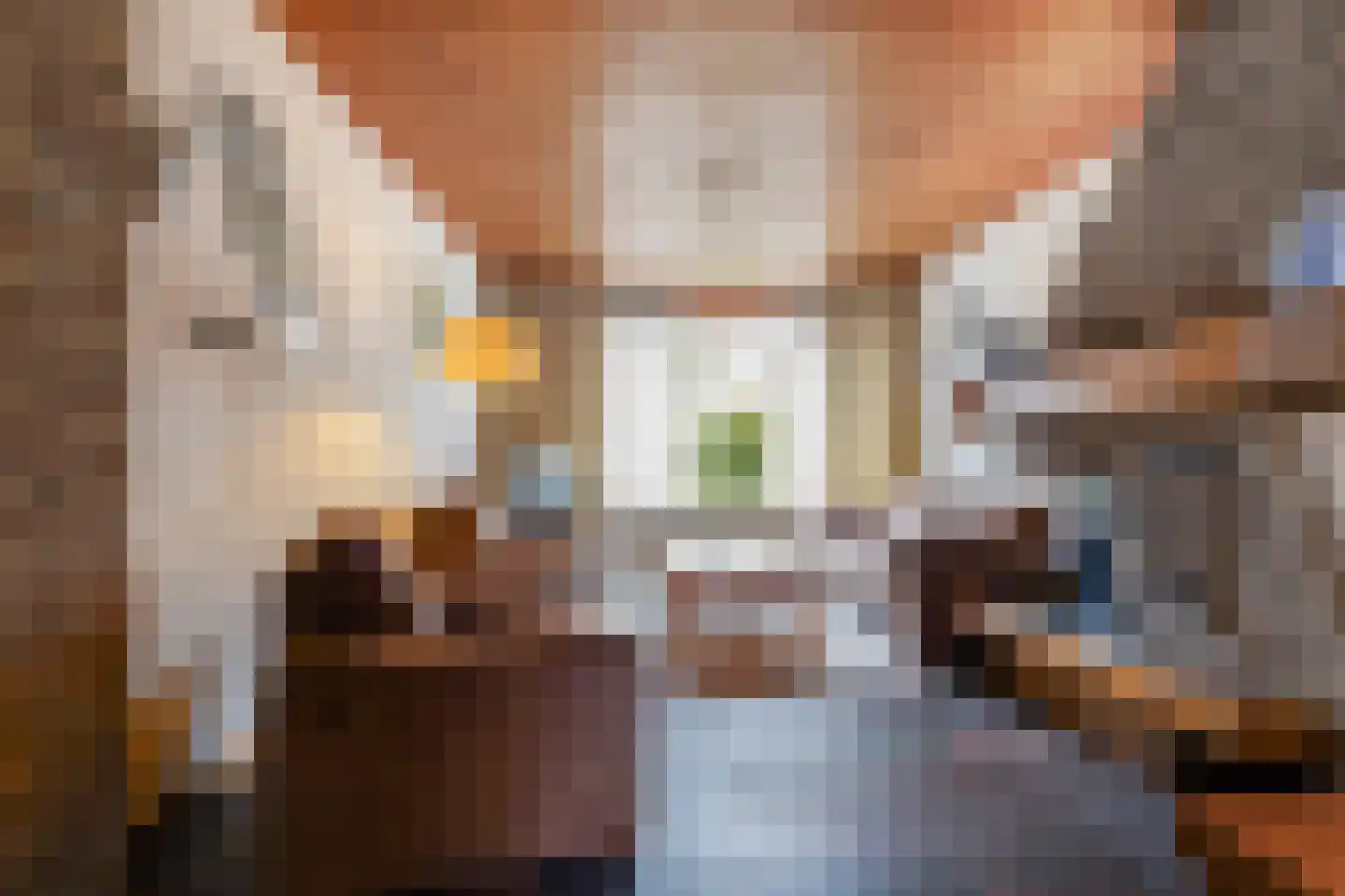 Waringinstraat 31 Tilburg thumbnail 18