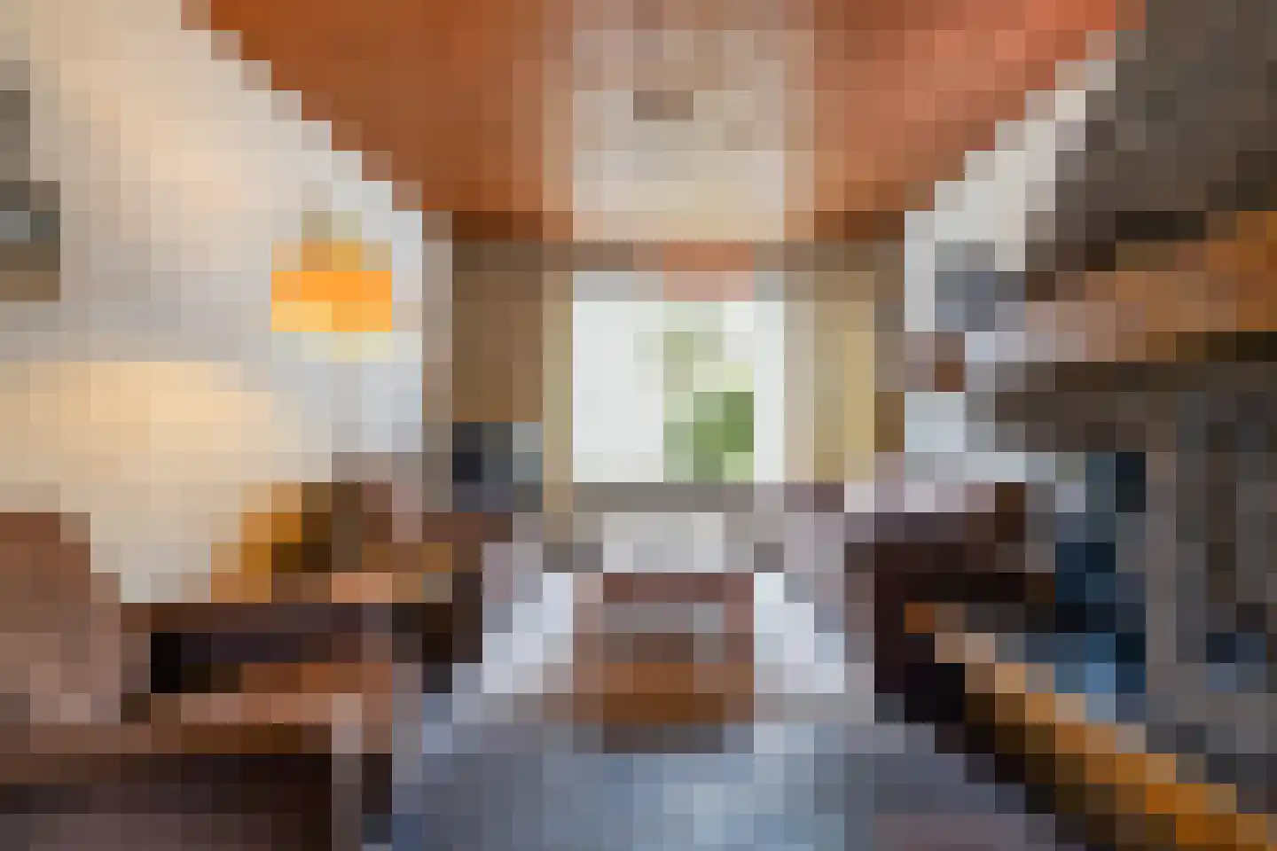 Waringinstraat 31 Tilburg thumbnail 19