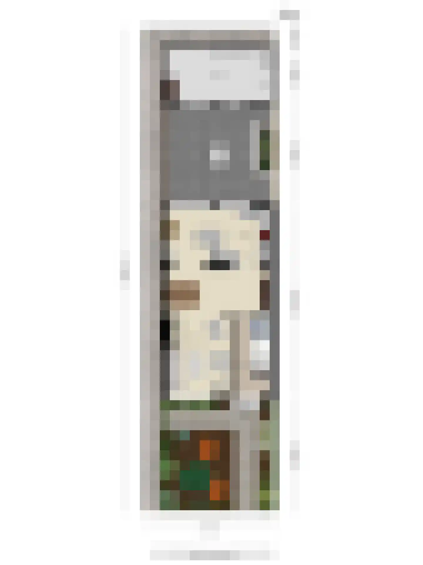 Waringinstraat 31 Tilburg thumbnail 43