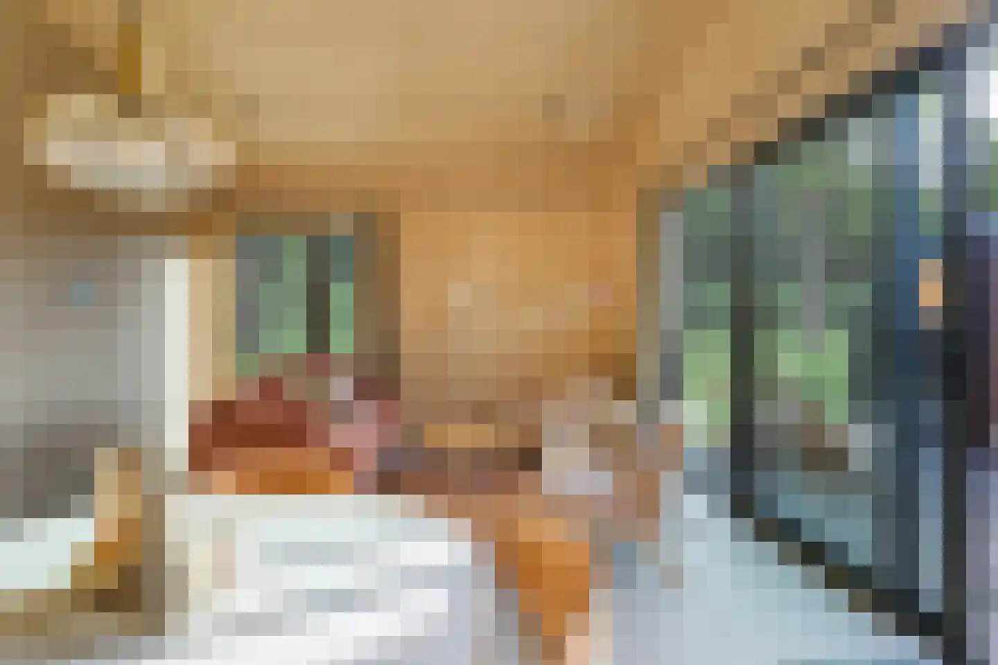 Warkenseweg 7 Warnsveld thumbnail 21