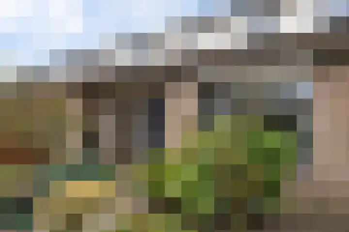 Warmeerweg 143 Emmen thumbnail 4