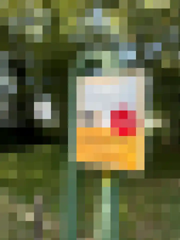 Warmeerweg 244 Emmen thumbnail 50