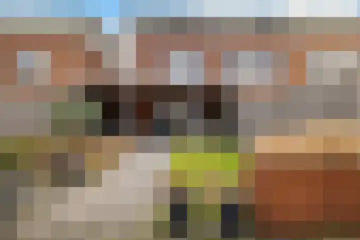 Warmeerweg 244 Emmen thumbnail 7