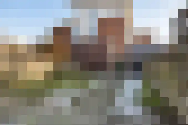 Warmeerweg 250 Emmen thumbnail 40