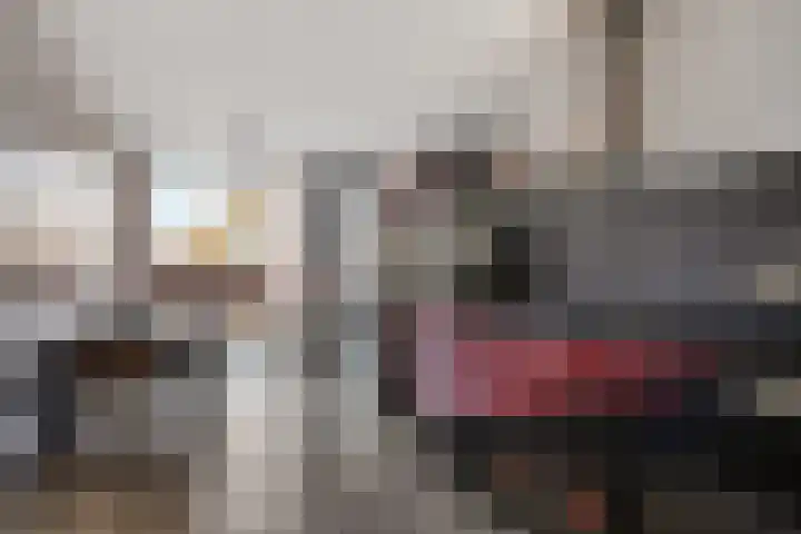 Warmeerweg 250 Emmen thumbnail 8