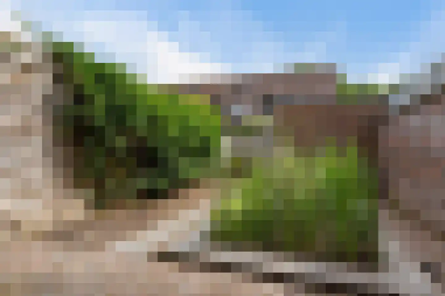 Warmeerweg 300 Emmen thumbnail 34
