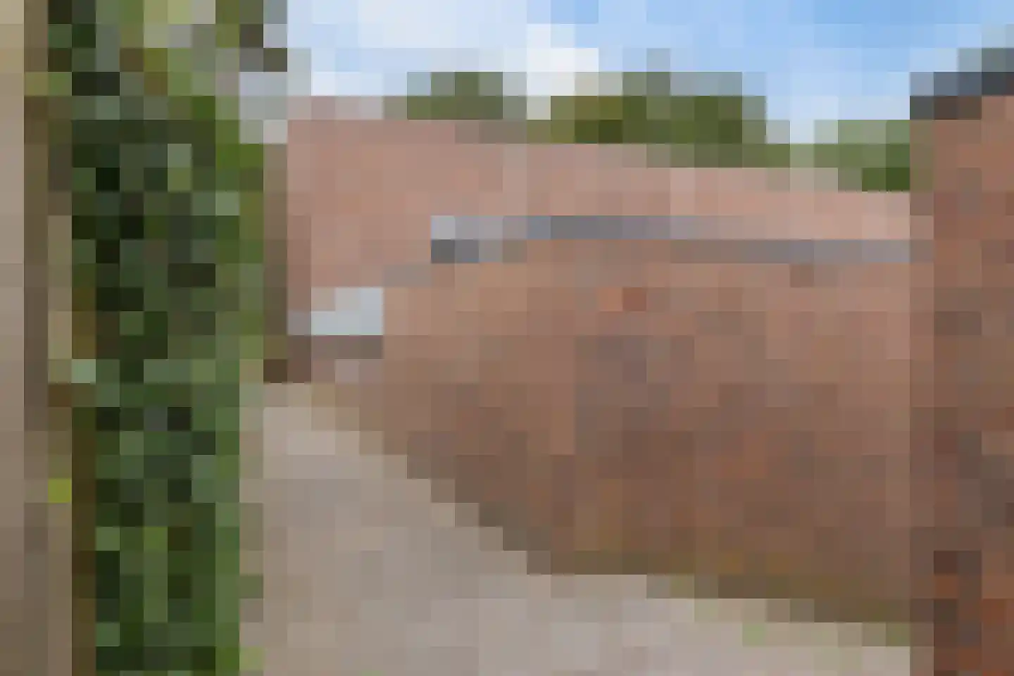 Warmeerweg 300 Emmen thumbnail 38
