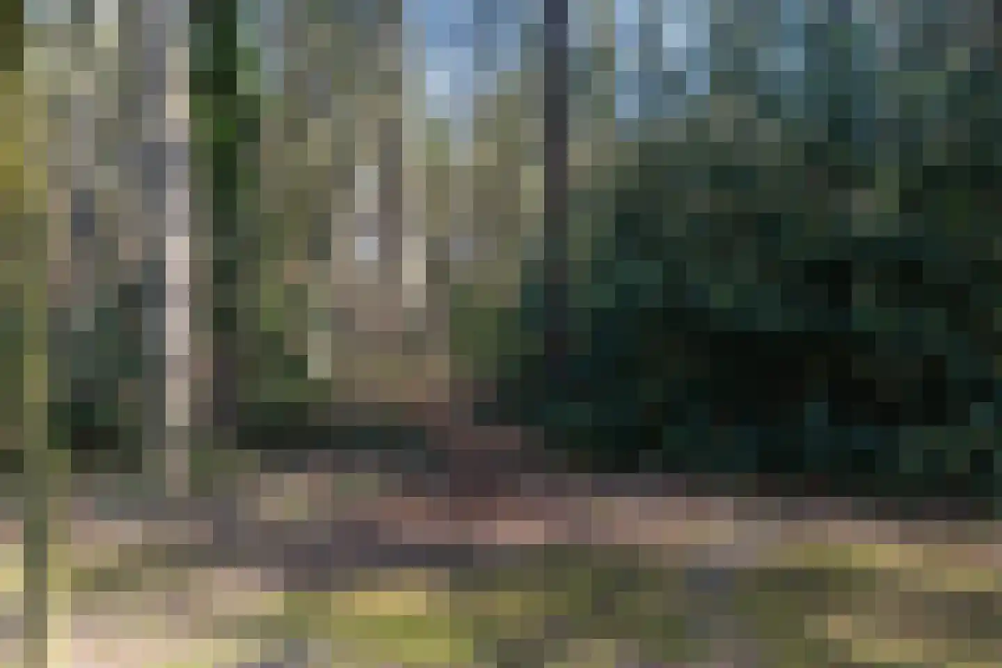 Warmeerweg 324 Emmen thumbnail 30