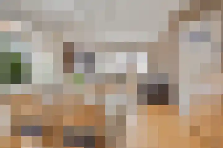 Warmeerweg 4 Emmen thumbnail 5