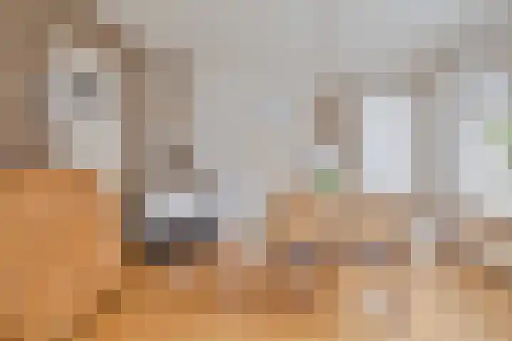 Warmeerweg 4 Emmen thumbnail 9
