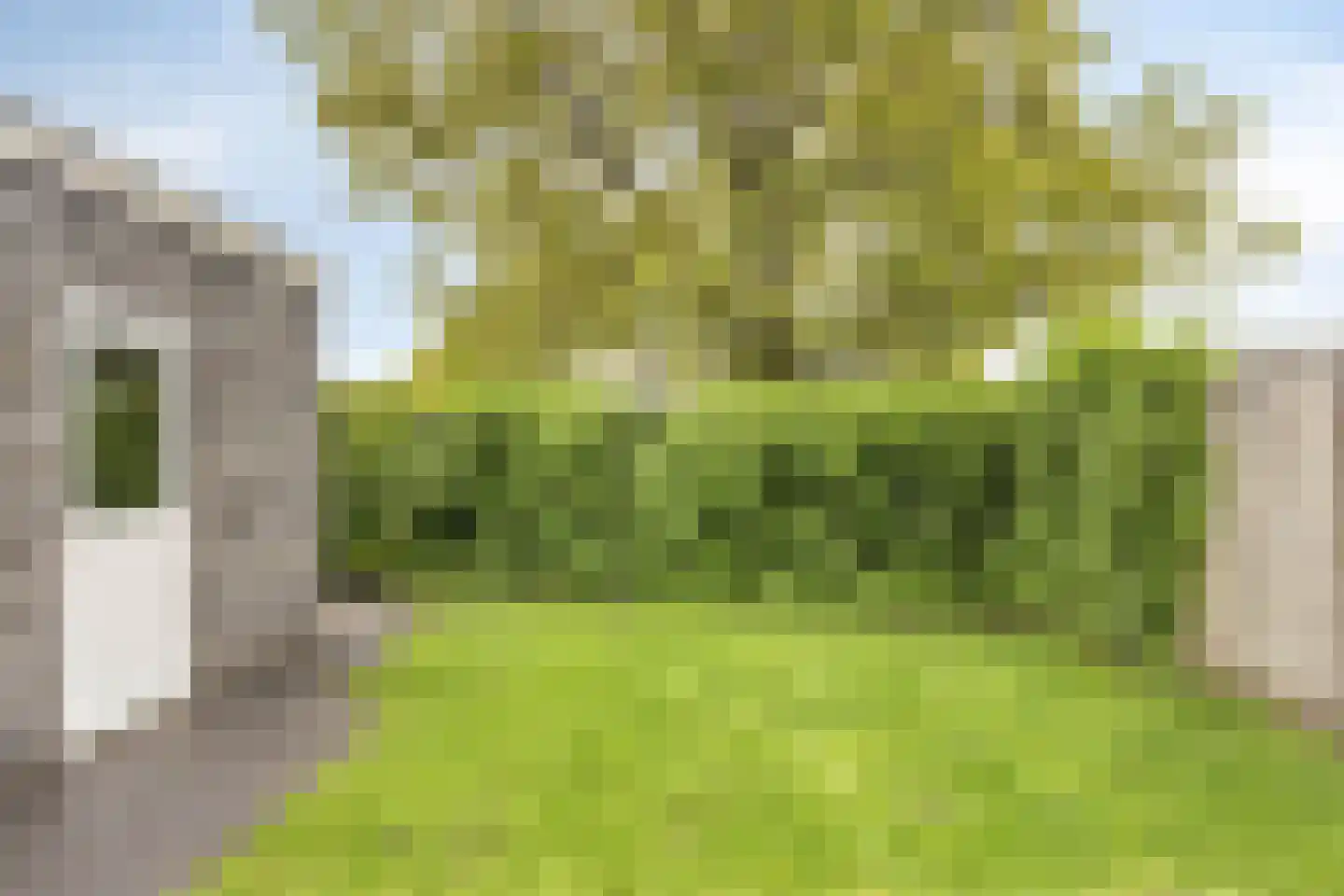 Warmelinckweg 16 Aalten thumbnail 30