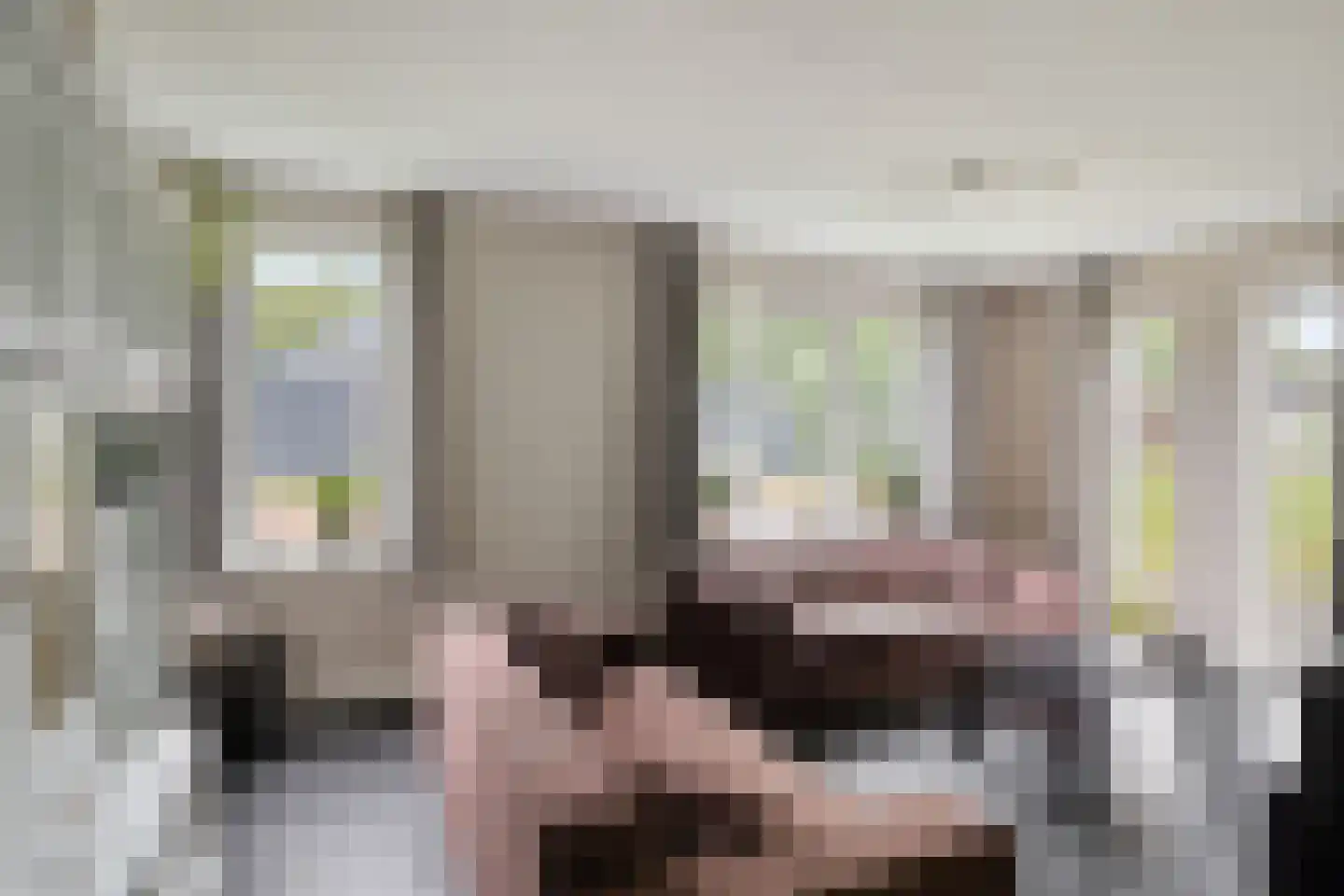 Warmelinckweg 16 Aalten thumbnail 4