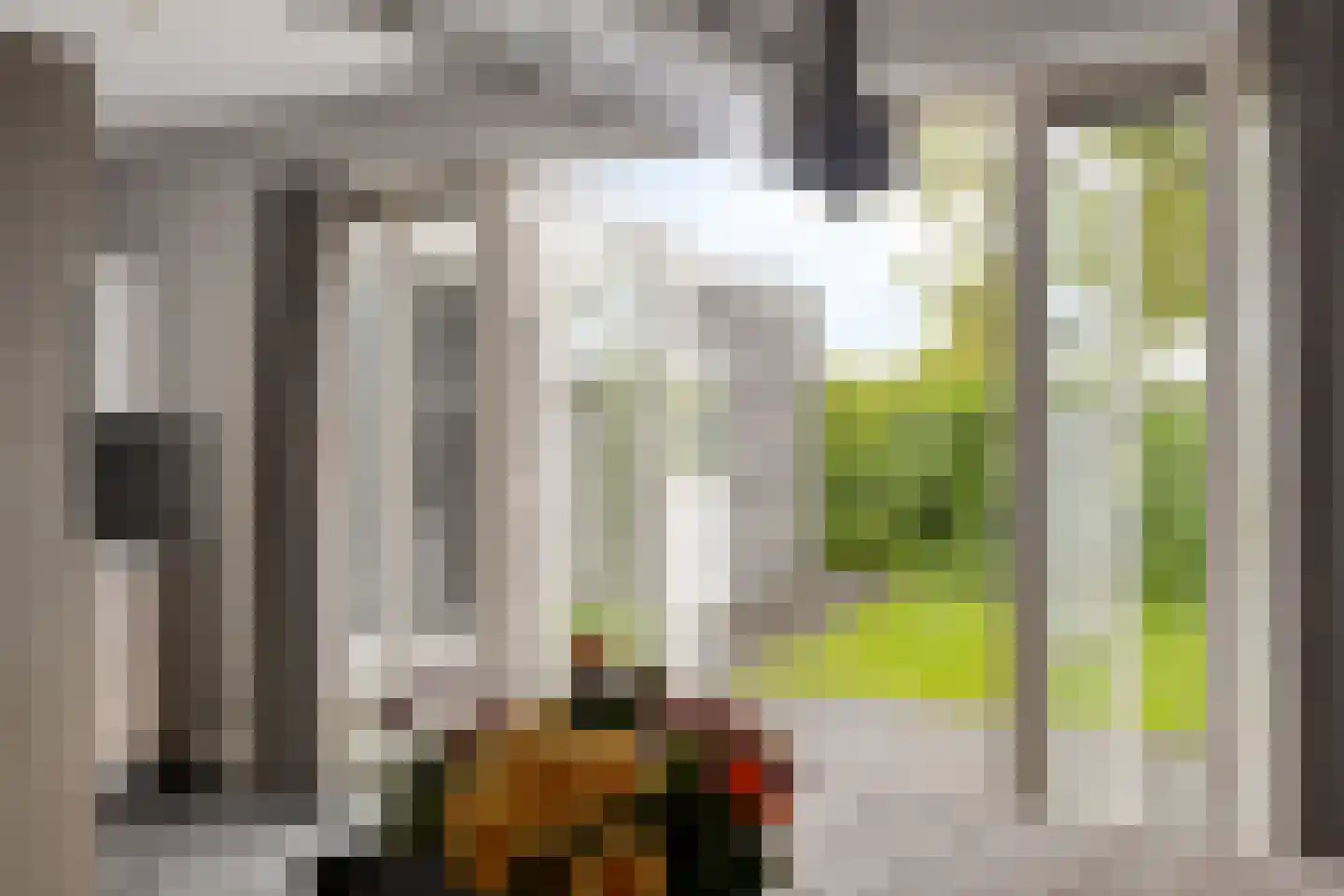 Warmelinckweg 16 Aalten thumbnail 8