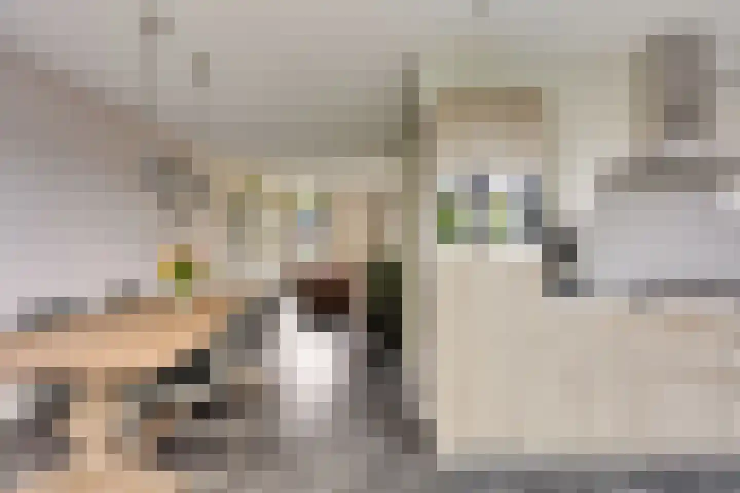 Warmelinckweg 16 Aalten thumbnail 9