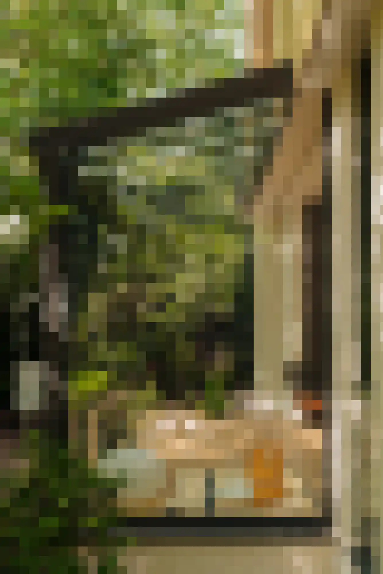 Warmelo 10 Amsterdam thumbnail 10