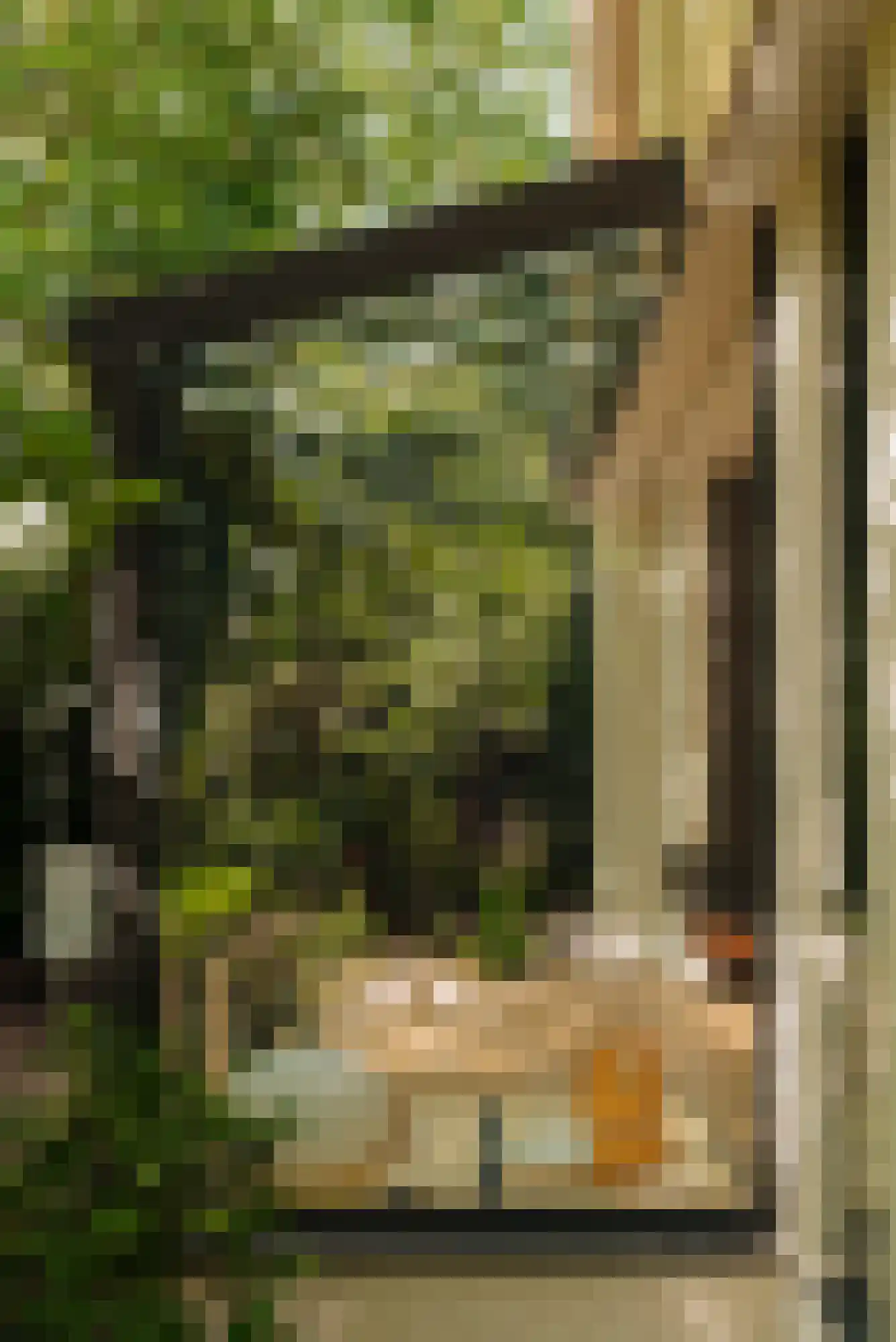 Warmelo 10 Amsterdam thumbnail 10