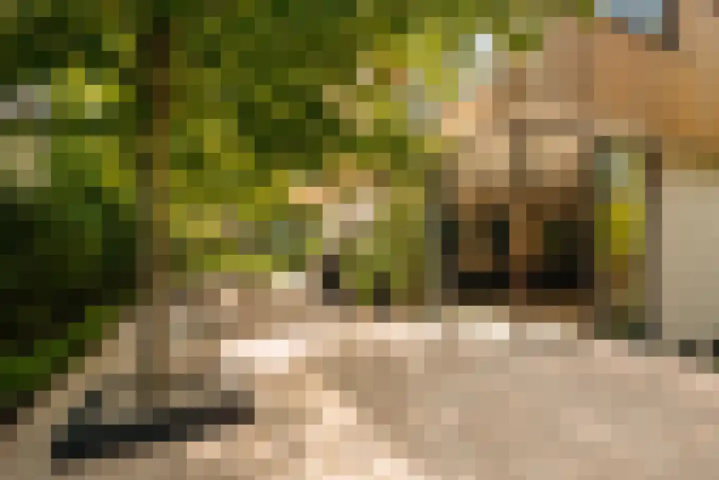Warmelo 10 Amsterdam thumbnail 4