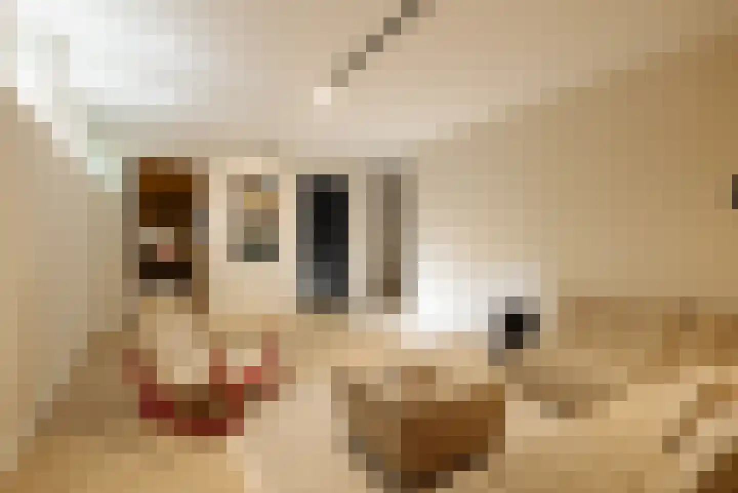 Warmelo 10 Amsterdam thumbnail 41