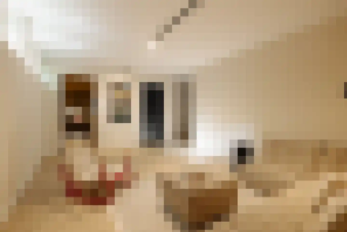 Warmelo 10 Amsterdam thumbnail 41
