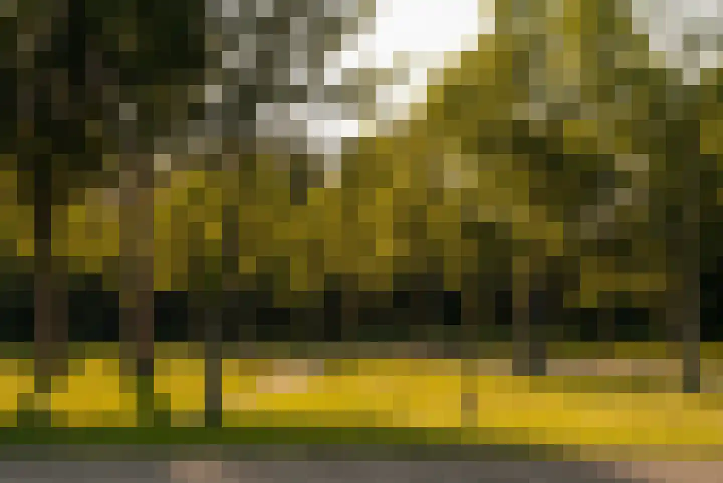 Warmelo 10 Amsterdam thumbnail 46