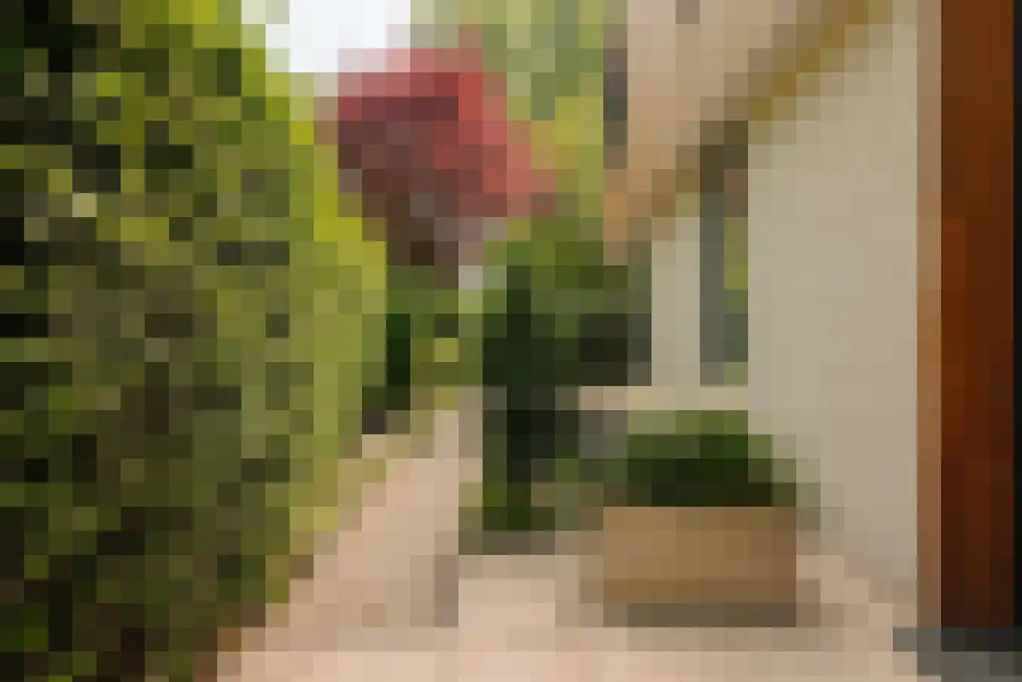 Warmelo 10 Amsterdam thumbnail 7