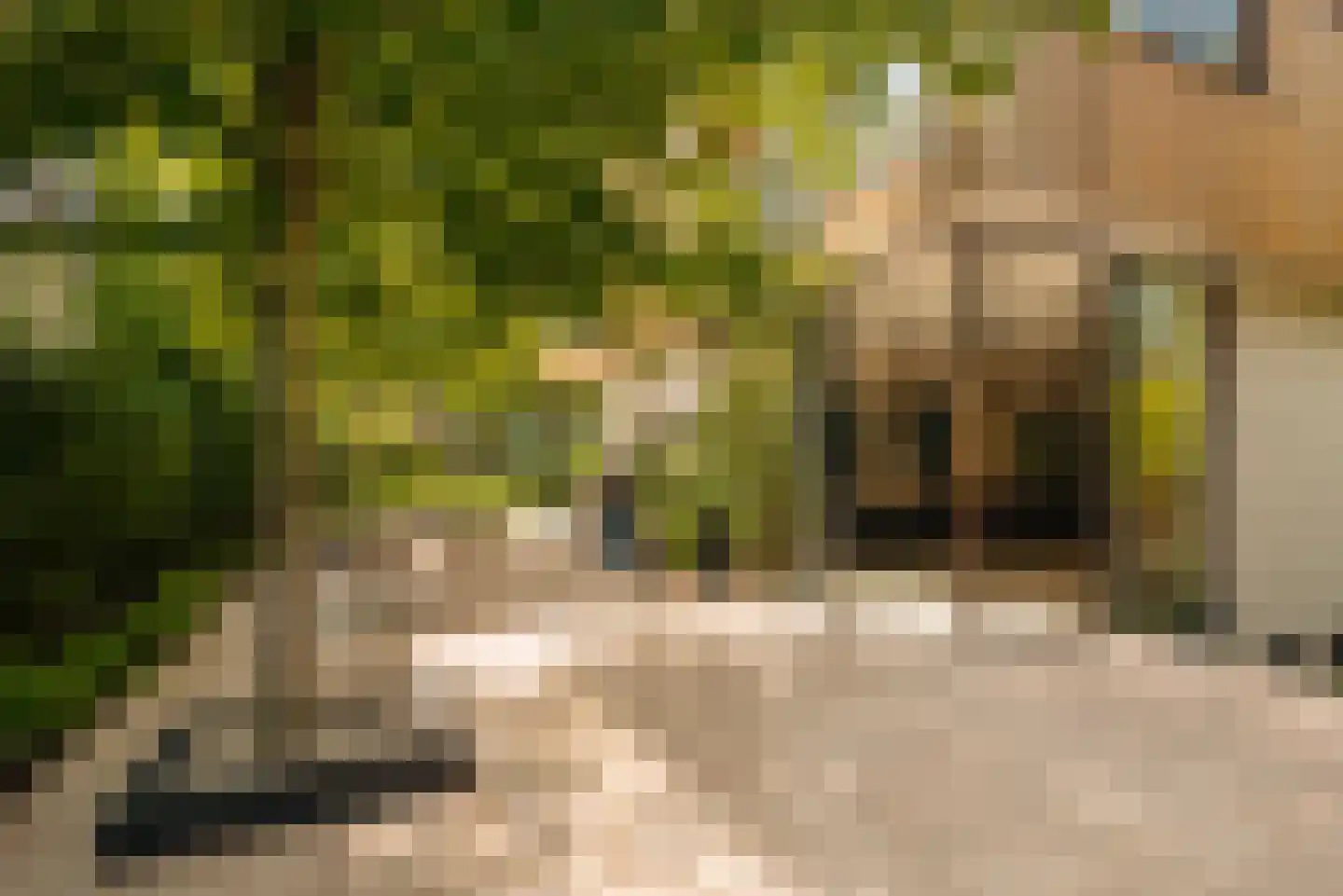 Warmelo 10 Amsterdam thumbnail 8