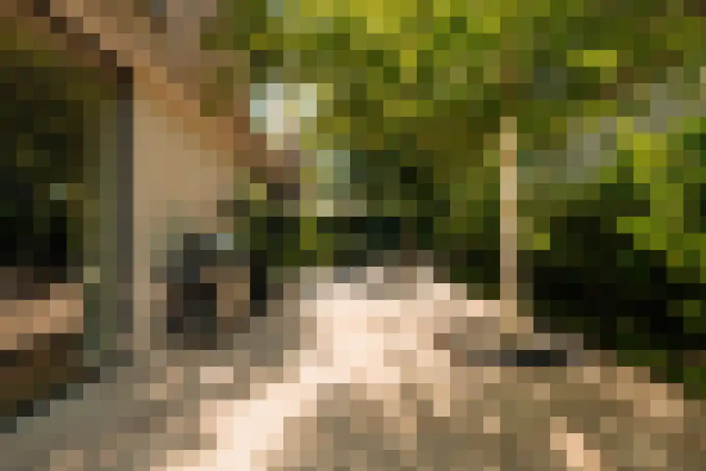Warmelo 10 Amsterdam thumbnail 8