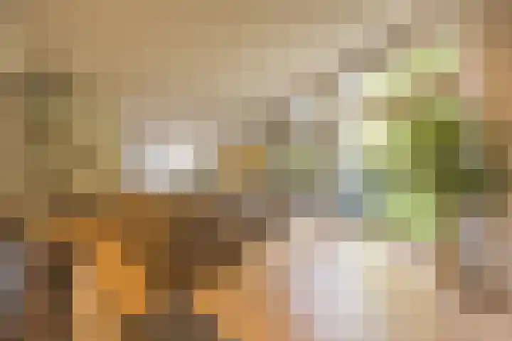 Warmelo 12 Amsterdam thumbnail 10