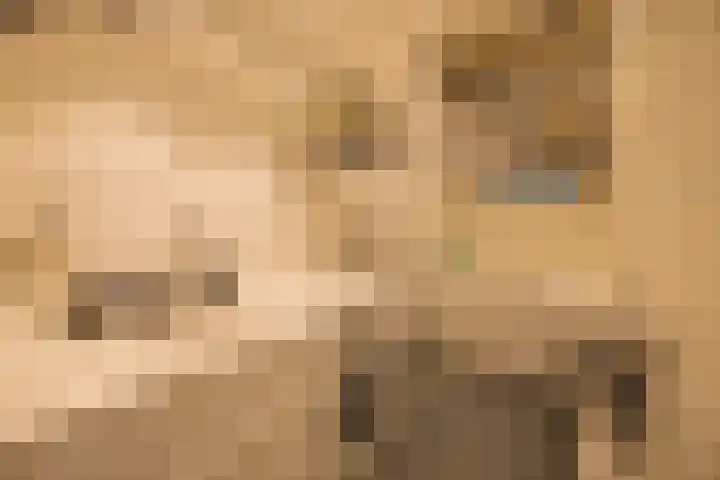 Warmelo 12 Amsterdam thumbnail 15