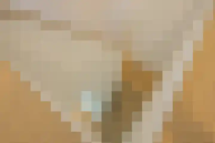 Warmelo 12 Amsterdam thumbnail 19
