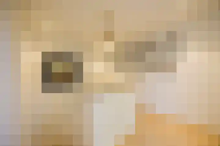 Warmelo 12 Amsterdam thumbnail 20