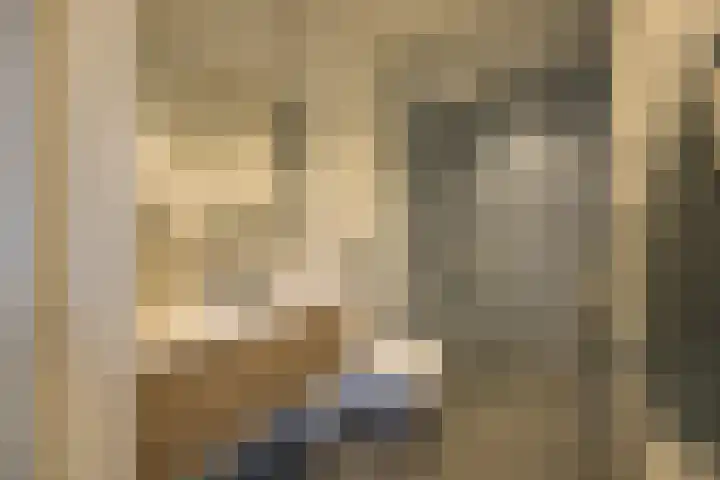 Warmelo 12 Amsterdam thumbnail 23