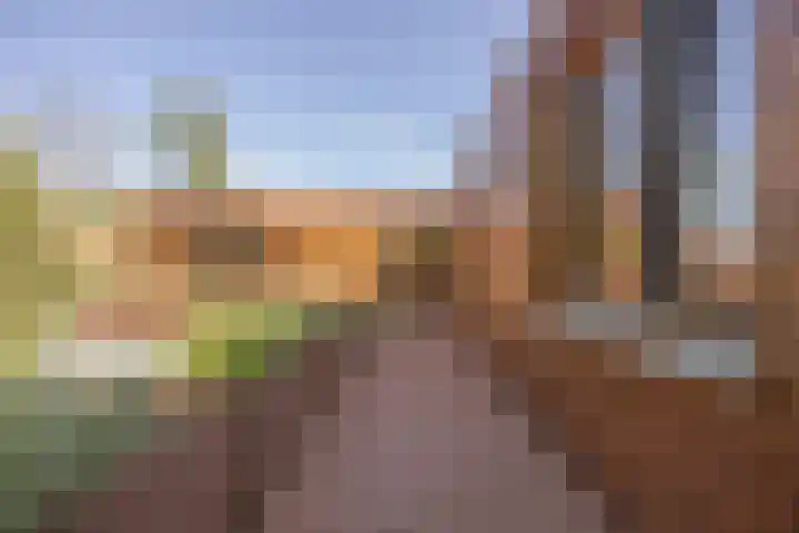Warmelo 12 Amsterdam thumbnail 24