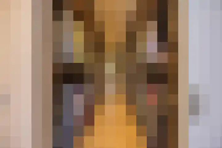 Warmelo 12 Amsterdam thumbnail 27