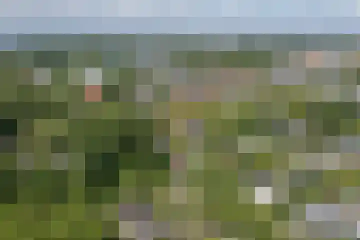 Warmelo 12 Amsterdam thumbnail 33