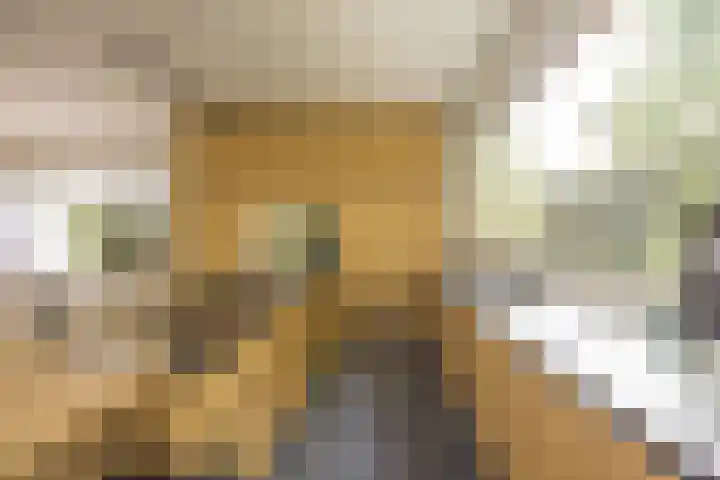 Warmelo 12 Amsterdam thumbnail 6