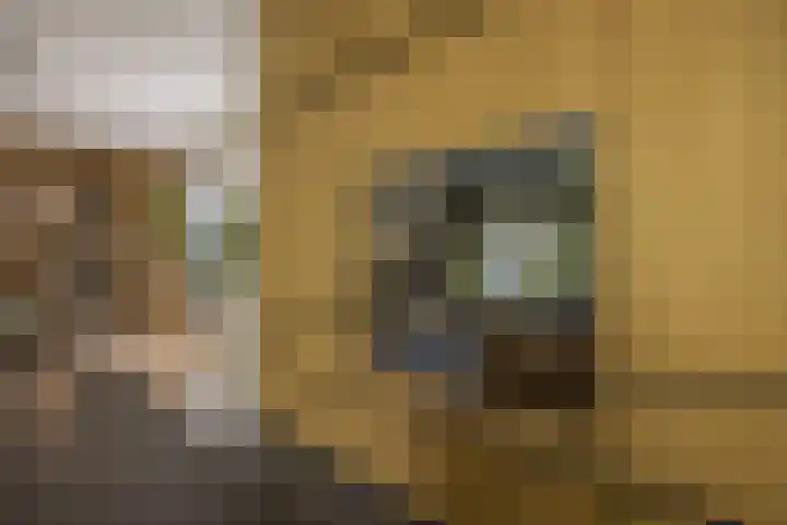 Warmelo 12 Amsterdam thumbnail 8