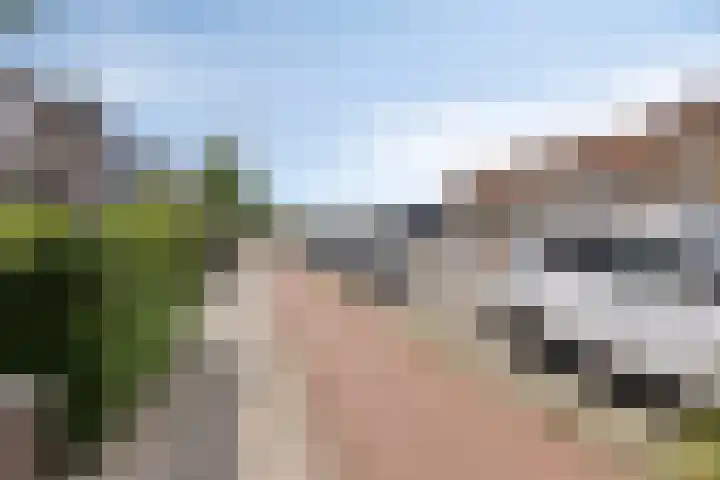 Warmelo 13 Raalte thumbnail 11