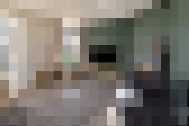 Warmelo 13 Raalte thumbnail 11