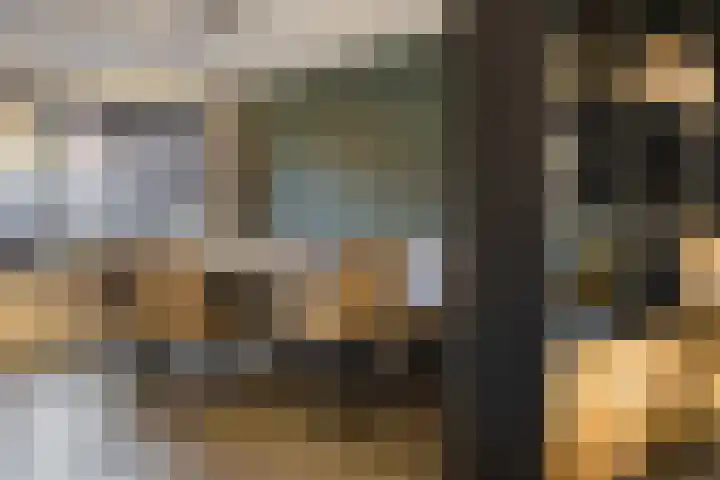 Warmelo 13 Raalte thumbnail 12