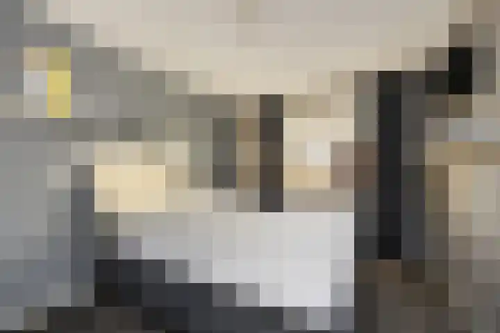 Warmelo 13 Raalte thumbnail 18