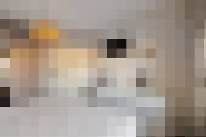Warmelo 13 Raalte thumbnail 21