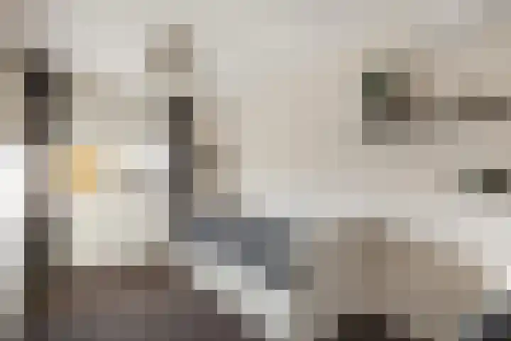 Warmelo 13 Raalte thumbnail 22