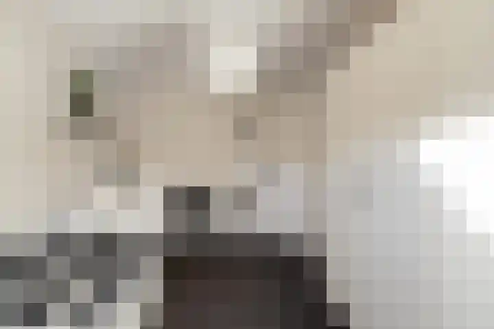 Warmelo 13 Raalte thumbnail 23